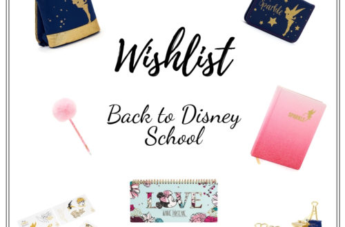 wishlist back to disney school
